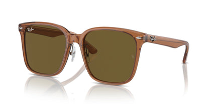 Ray-Ban RB2206D Sunglasses Transparent Brown / Dark Brown