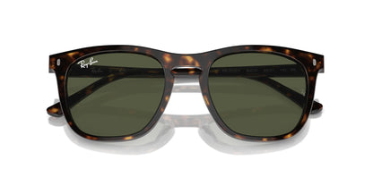 Ray-Ban RB2210F Sunglasses | Size 53