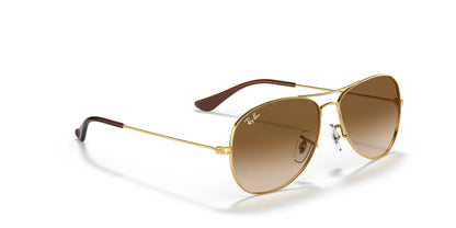 Ray-Ban COCKPIT RB3362 Sunglasses