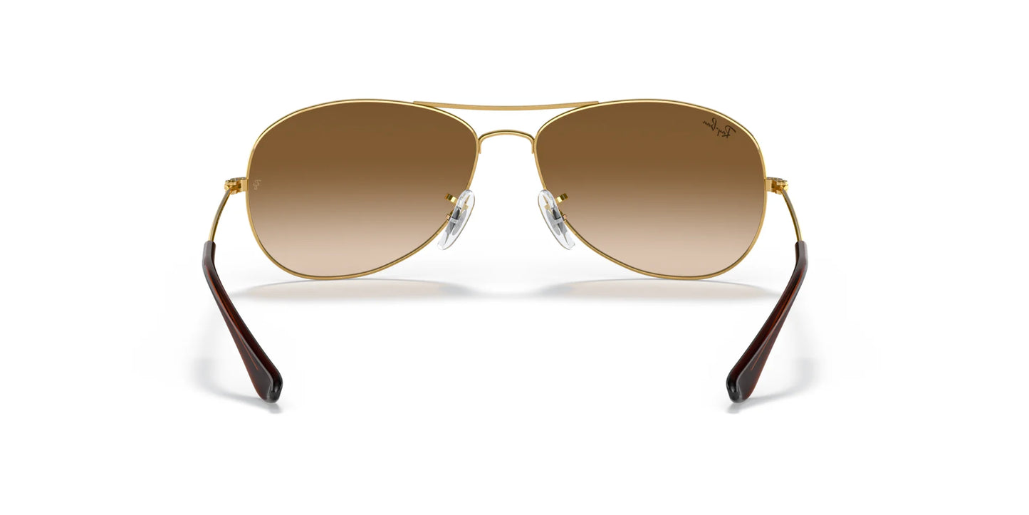 Ray-Ban COCKPIT RB3362 Sunglasses