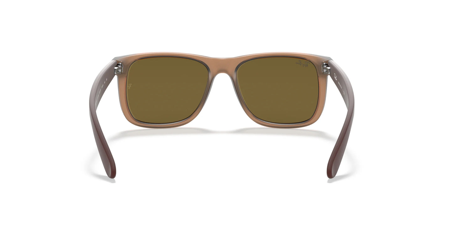 Ray-Ban JUSTIN RB4165 Sunglasses