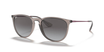 Ray-Ban ERIKA RB4171 Sunglasses Transparent Grey / Light Grey Gradient Dark Grey