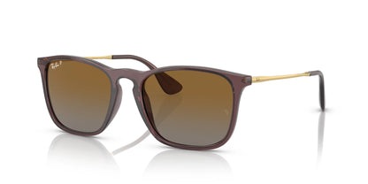 Ray-Ban CHRIS RB4187 Sunglasses Transparent Brown / Brown