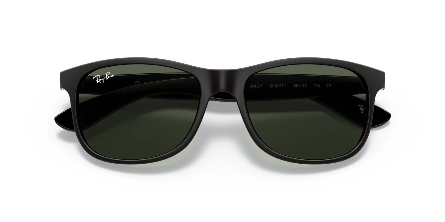 Ray-Ban ANDY RB4202 Sunglasses | Size 55