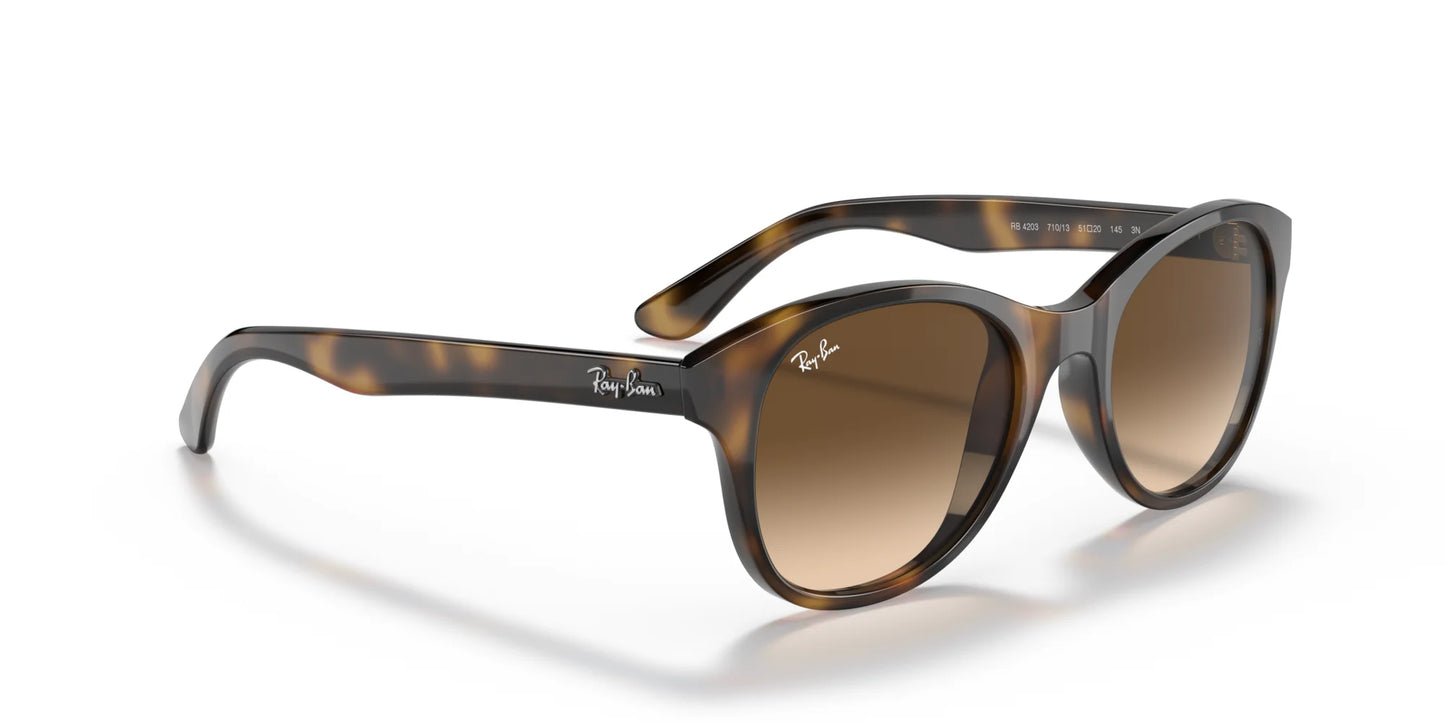 Ray-Ban RB4203 Sunglasses | Size 51