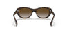 Ray-Ban RB4227 Sunglasses | Size 55 / Light Havana №710/T5 / Brown (Polarized) (3P 16.7%)