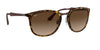 Ray-Ban RB4299 Sunglasses | Size 56 / Light Havana №710/13 / Brown Gradient (3N 16%)