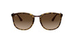 Ray-Ban RB4299 Sunglasses | Size 56 / Light Havana №710/13 / Brown Gradient (3N 16%)