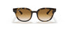 Ray-Ban RB4324F Sunglasses | Size 50 / Light Havana №710/51 / Light Brown Gradient (2N 30.5%)