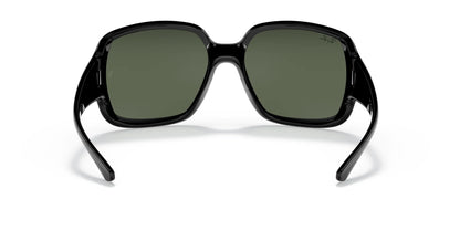 Ray-Ban POWDERHORN RB4347 Sunglasses | Size 60