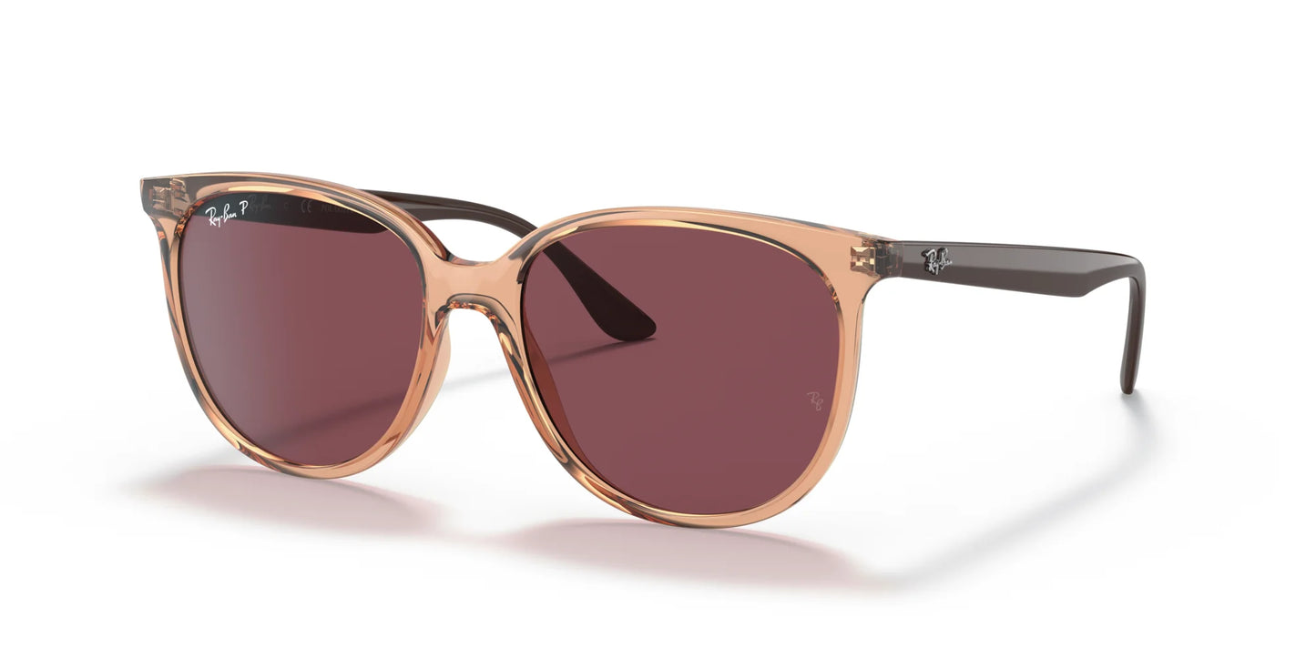Ray-Ban RB4378 Sunglasses Transparent Brown / Purple