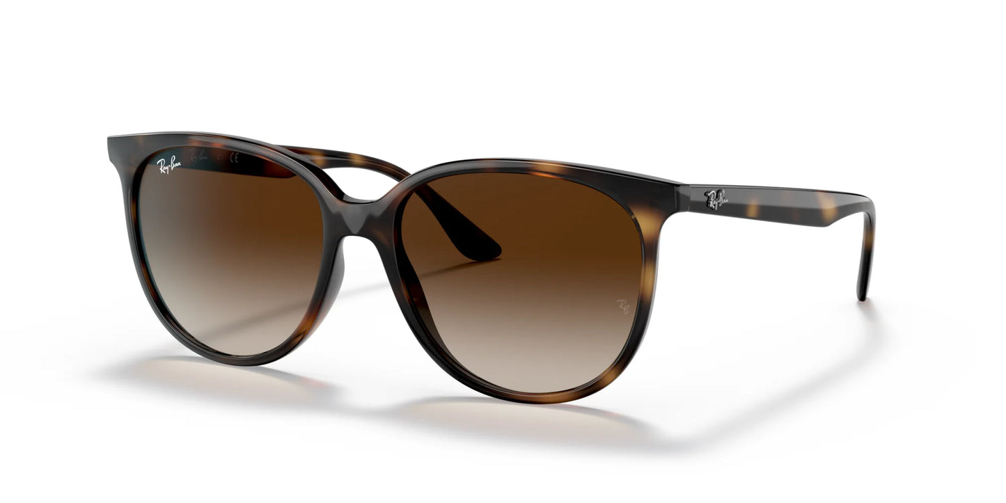 Ray-Ban RB4378 Sunglasses Havana / Gradient Brown
