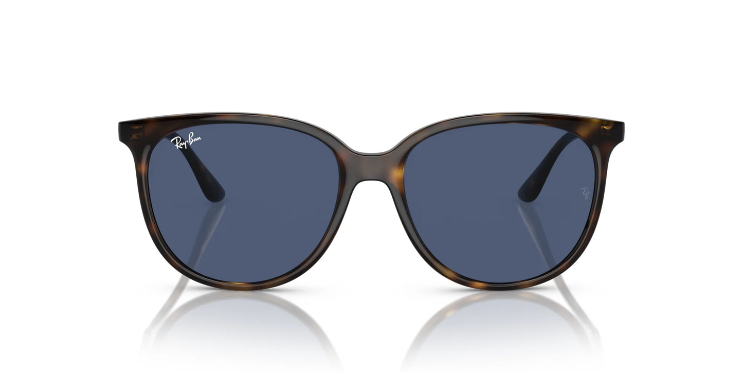 Ray-Ban RB4378 Sunglasses | Size 54