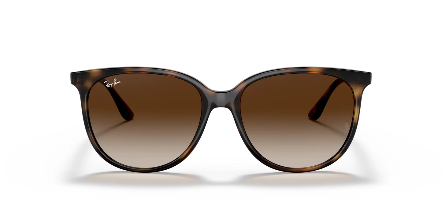 Ray-Ban RB4378F Sunglasses | Size 54