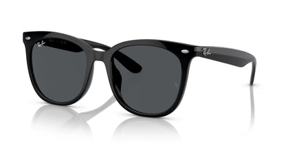 Ray-Ban RB4379D Sunglasses Black / Dark Grey