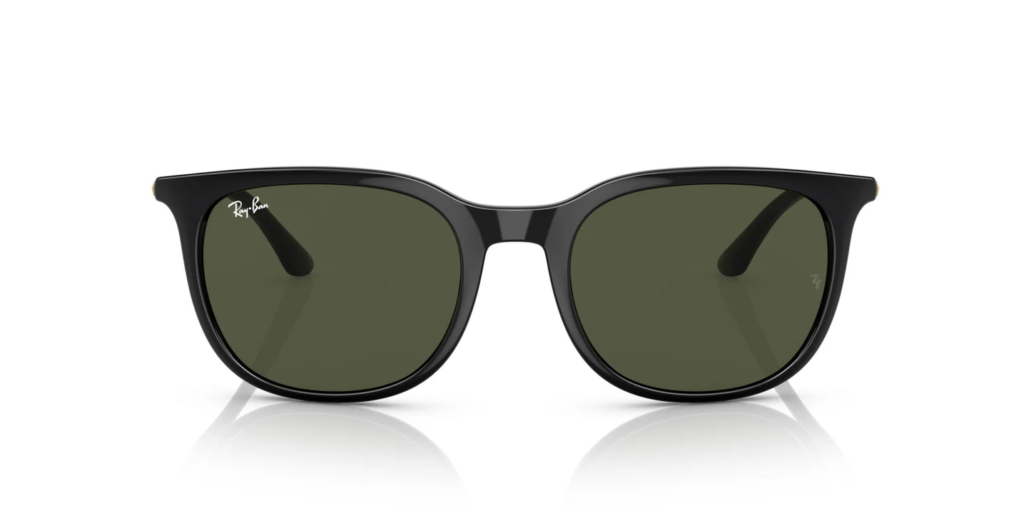Ray-Ban RB4386F Sunglasses | Size 55