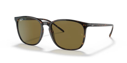Ray-Ban RB4387F Sunglasses Tortoise / Brown Classic