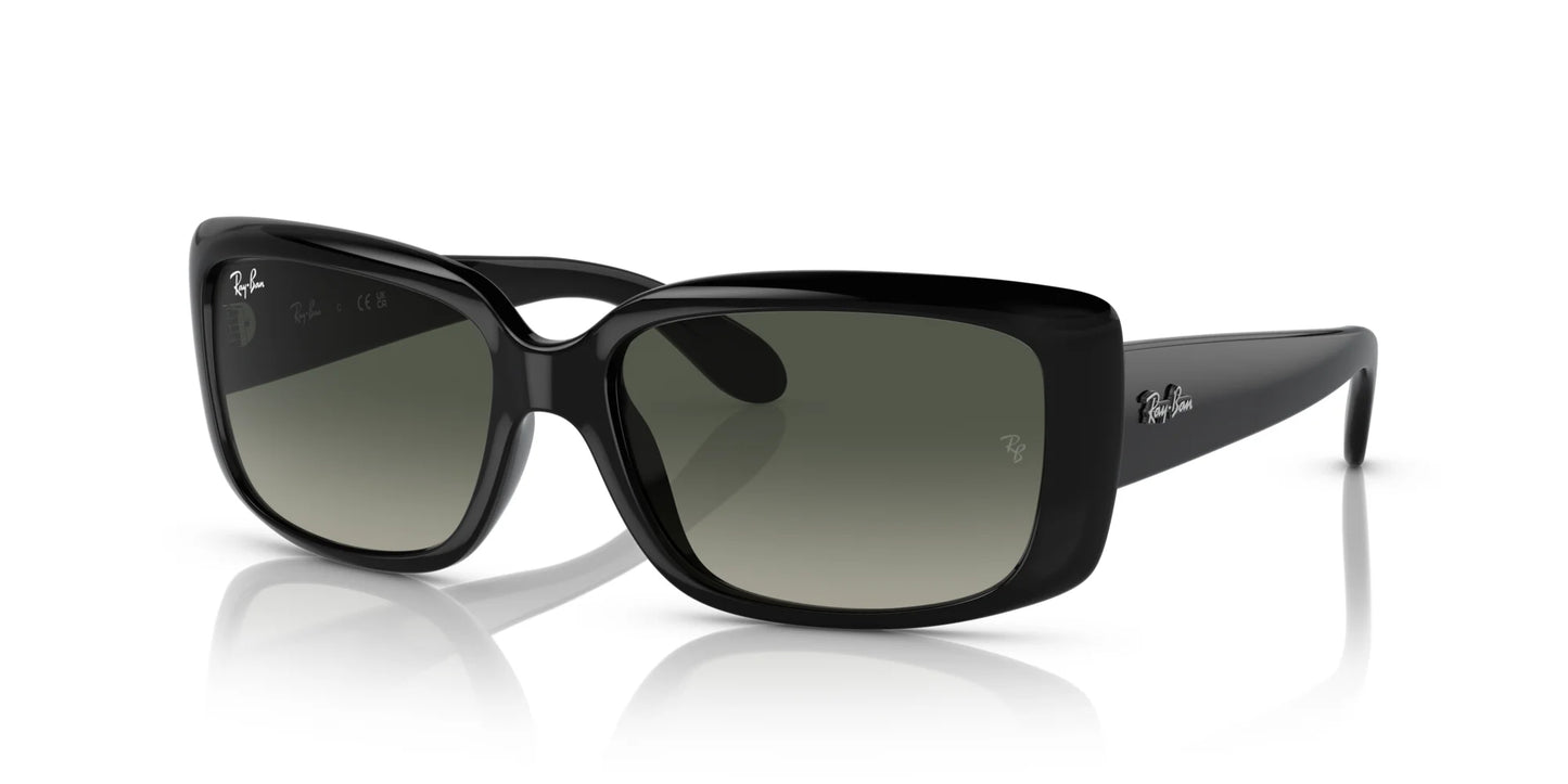Ray-Ban RB4389 Sunglasses Black / Grey