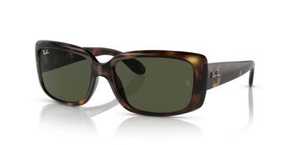 Ray-Ban RB4389 Sunglasses Havana / Green