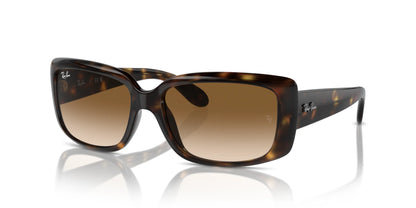Ray-Ban RB4389 Sunglasses Havana / Clear Brown