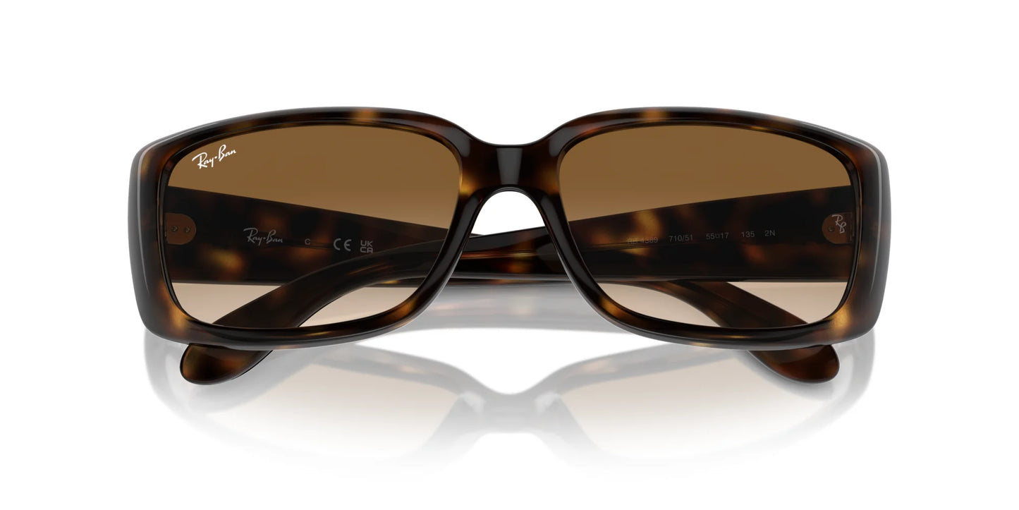 Ray-Ban RB4389 Sunglasses | Size 55