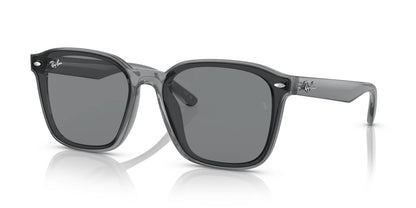 Ray-Ban RB4392D Sunglasses Transparent Grey / Grey