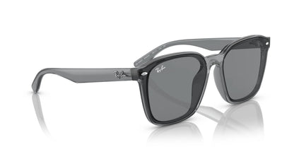 Ray-Ban RB4392D Sunglasses | Size 66