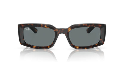 Ray-Ban KILIANE RB4395 Sunglasses | Size 54