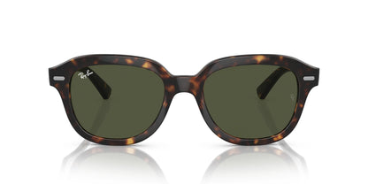 Ray-Ban ERIK RB4398F Sunglasses | Size 53