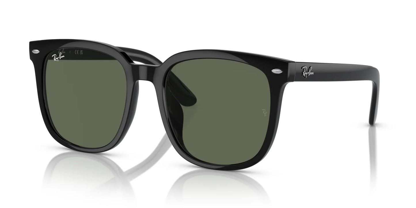 Ray-Ban RB4401D Sunglasses Black / Dark Green