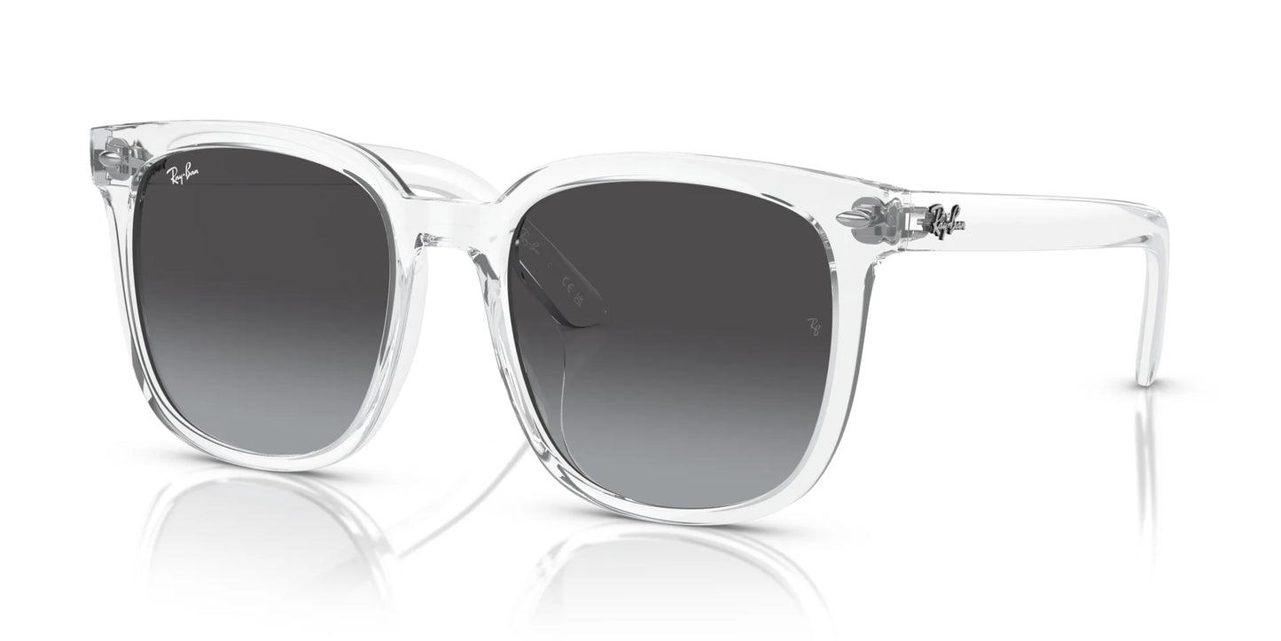 Ray-Ban RB4401D Sunglasses Transparent / Grey
