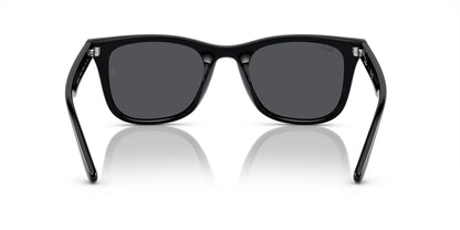 Ray-Ban RB4420 Sunglasses | Size 65