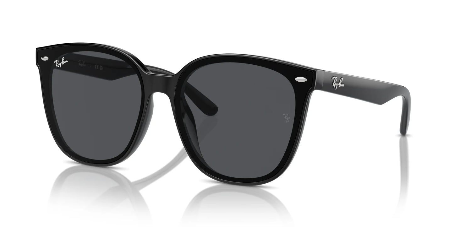 Ray-Ban RB4423D Sunglasses Black / Dark Grey