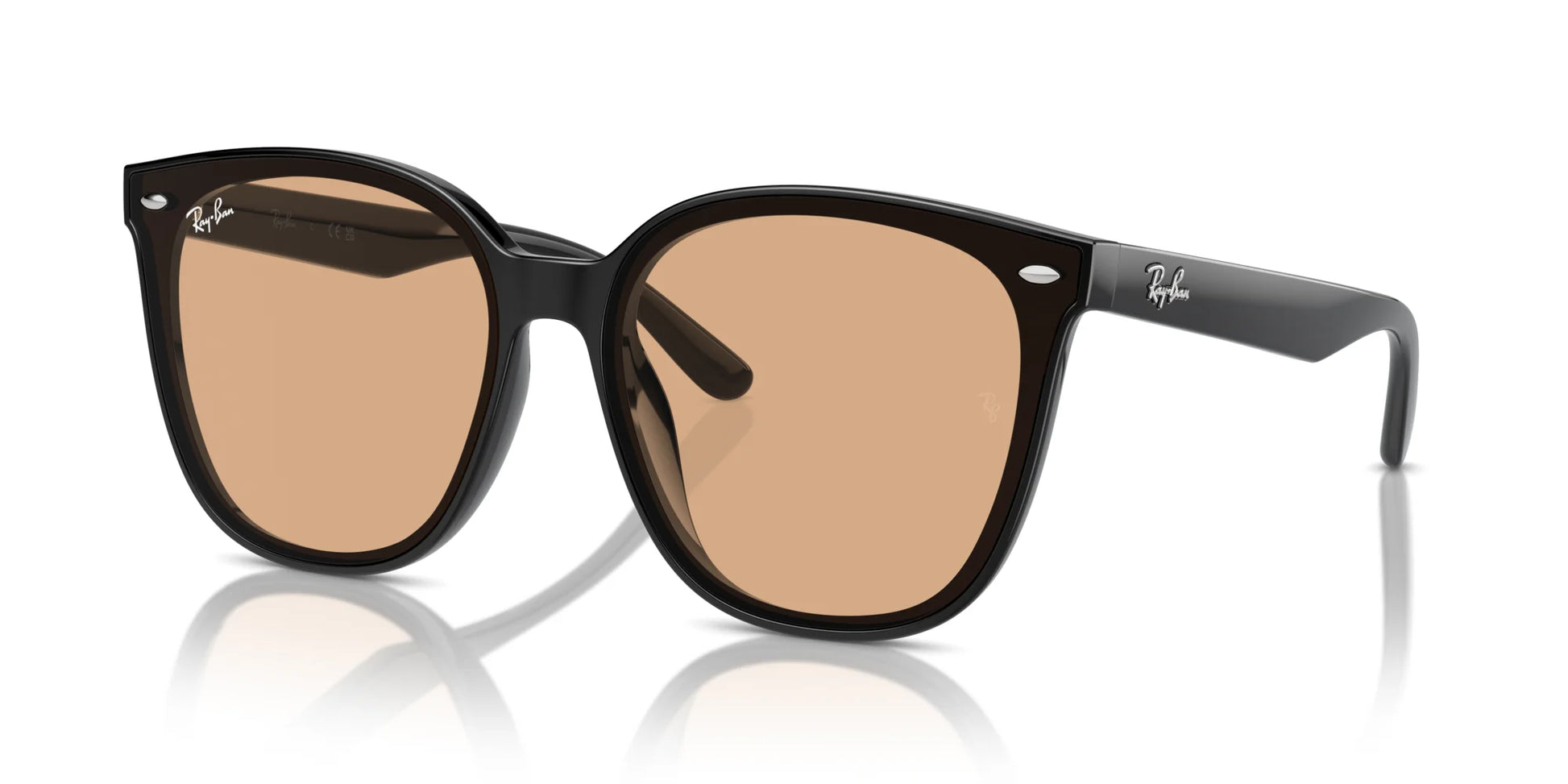 Ray-Ban RB4423D Sunglasses Black / Brown