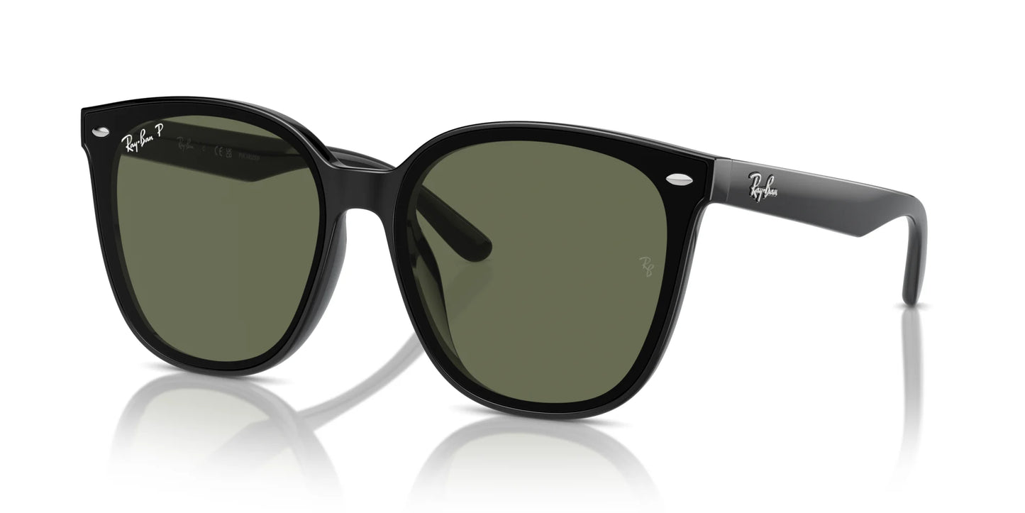 Ray-Ban RB4423D Sunglasses Black / Dark Green (Polarized)