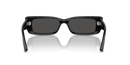 Ray-Ban TERU RB4425 Sunglasses | Size 54
