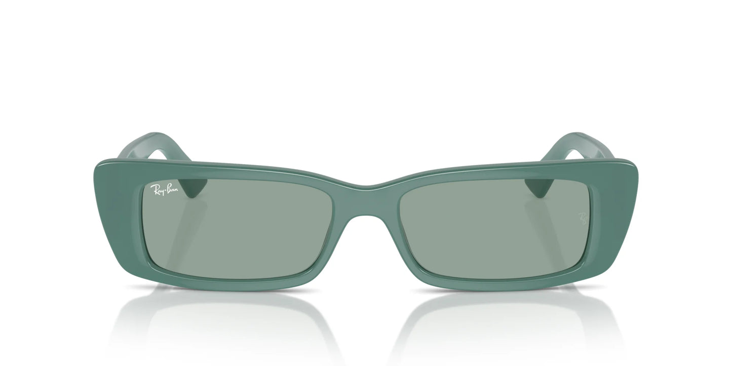 Ray-Ban TERU RB4425F Sunglasses | Size 54