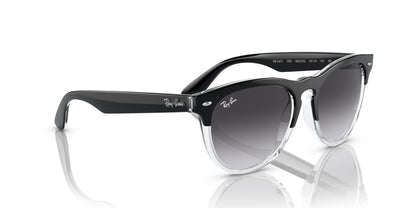 Ray-Ban IRIS RB4471 Sunglasses | Size 54