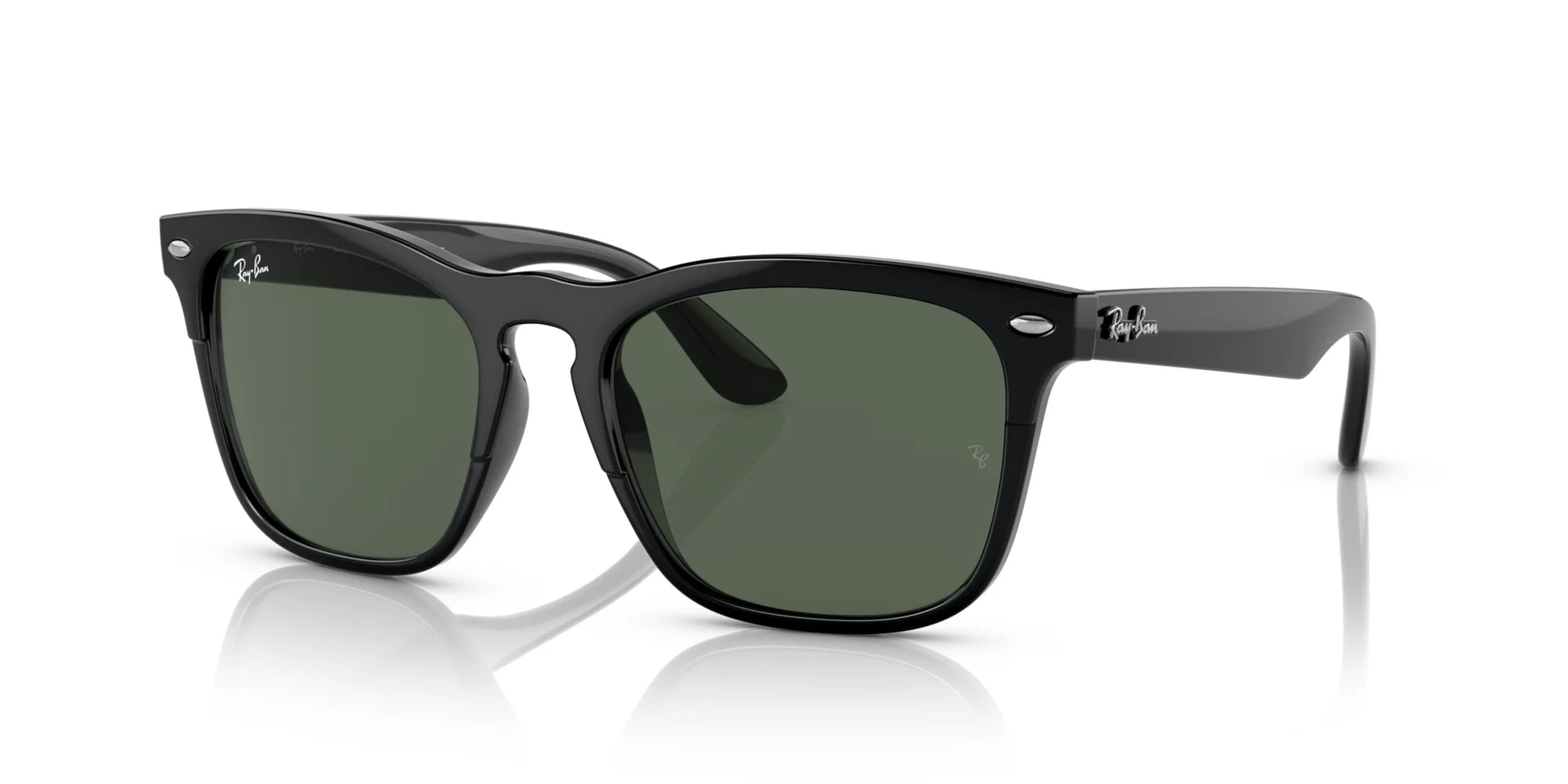 Ray-Ban STEVE RB4487 Sunglasses Black / Dark Green