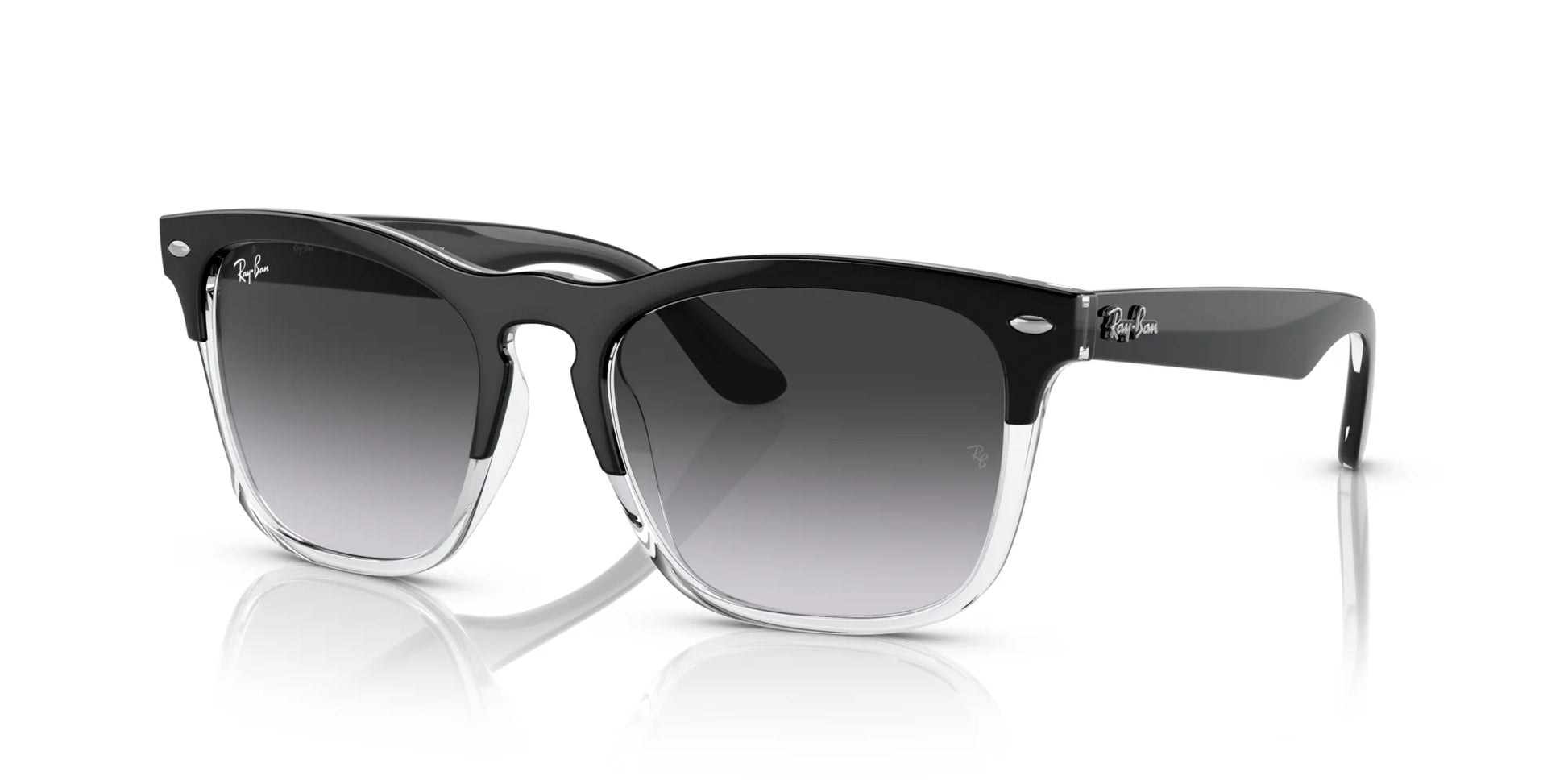 Ray-Ban STEVE RB4487 Sunglasses Black On Transparent / Grey