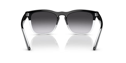 Ray-Ban STEVE RB4487 Sunglasses | Size 54