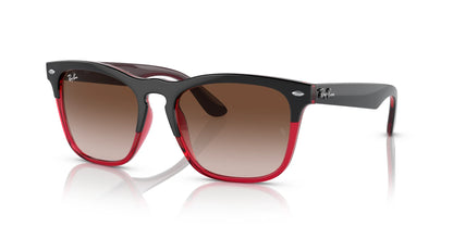 Ray-Ban STEVE RB4487 Sunglasses Grey On Transparent Red / Brown