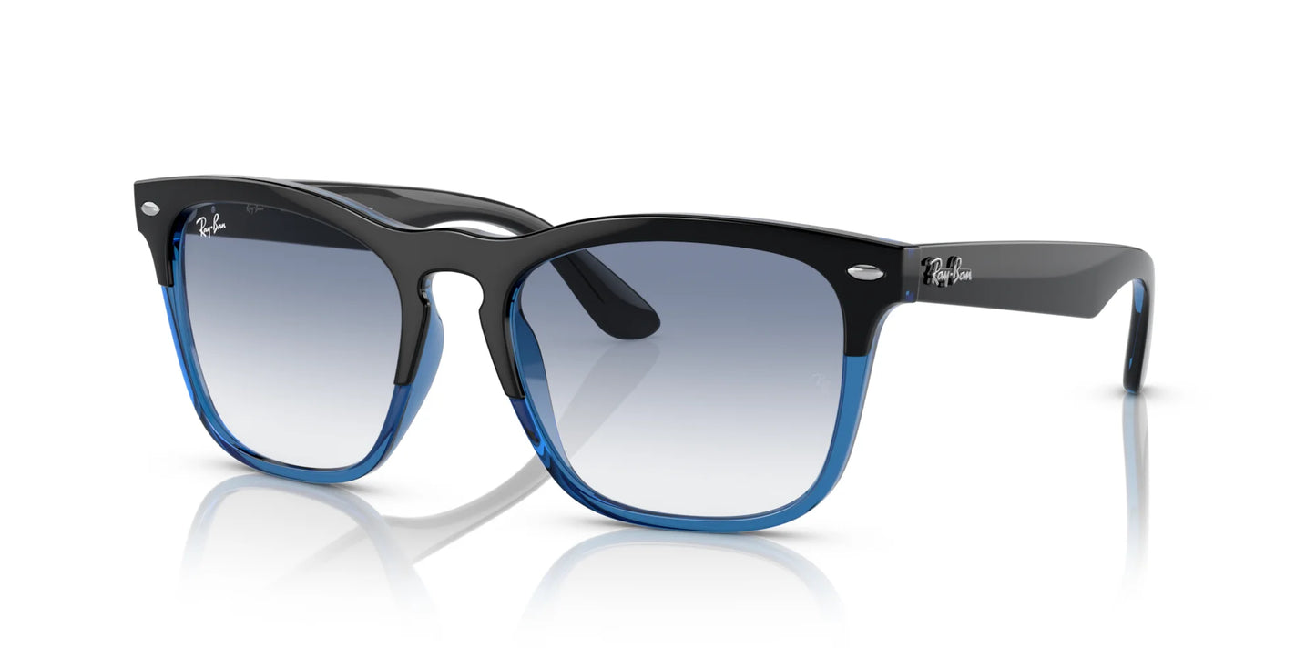 Ray-Ban STEVE RB4487 Sunglasses Black On Blue / Blue