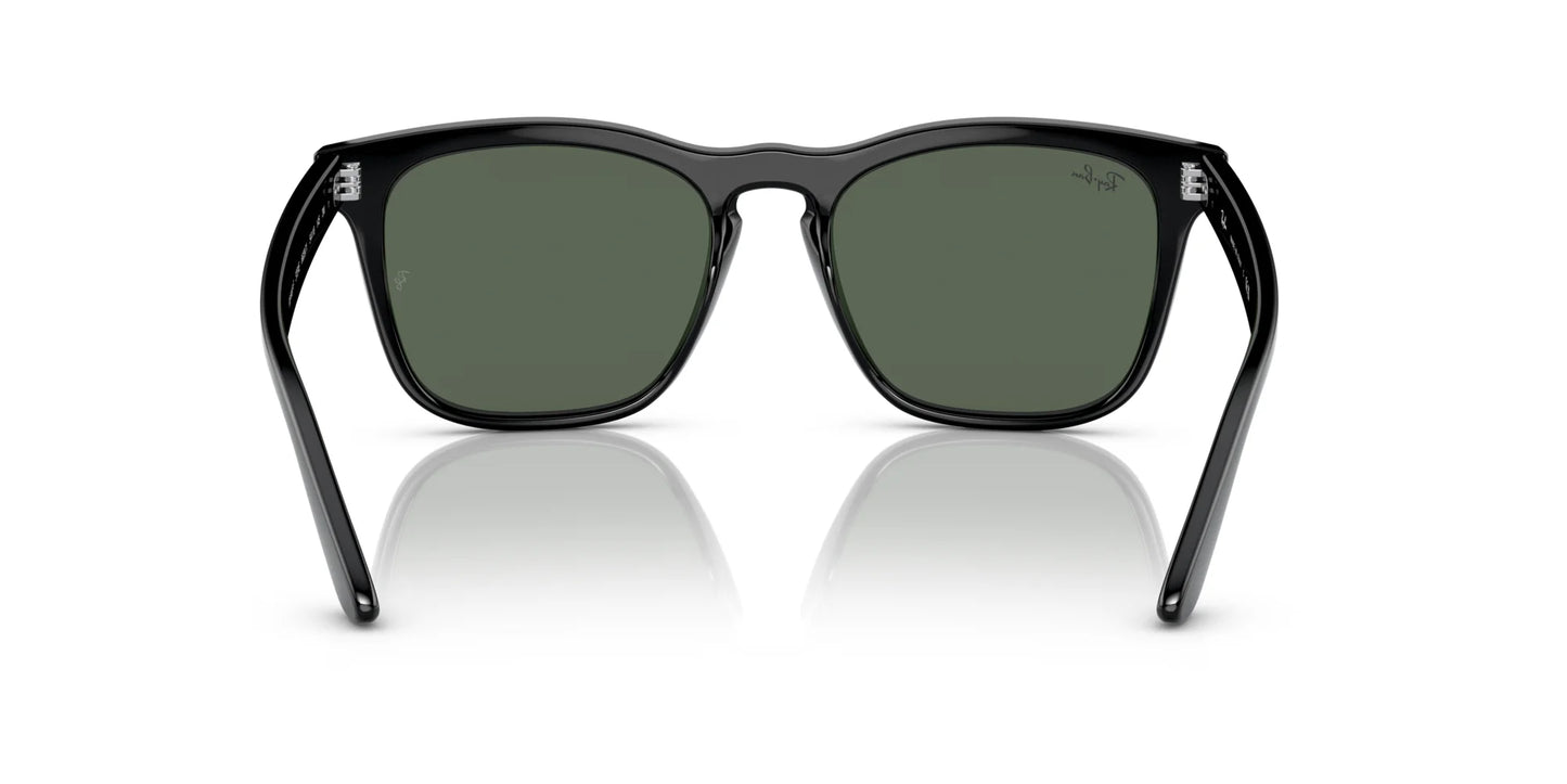 Ray-Ban STEVE RB4487F Sunglasses | Size 54