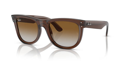 Ray-Ban WAYFARER REVERSE RBR0502S Sunglasses Transparent Brown / Brown