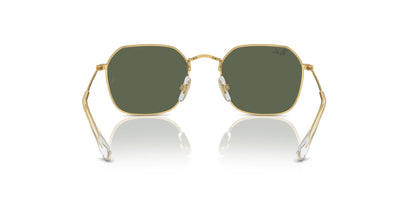 Ray-Ban RJ9594S Sunglasses | Size 49