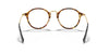 Ray-Ban ROUND RX2447V Eyeglasses | Size 49 / Black №2000 / Clear