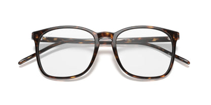 Ray-Ban RX5387 Eyeglasses