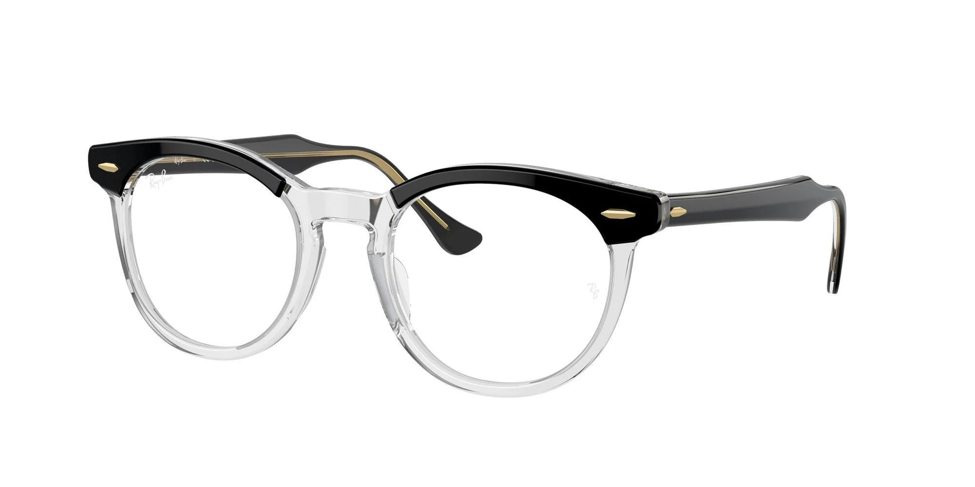 Ray-Ban EAGLEEYE RX5598 Eyeglasses Black On Transparent