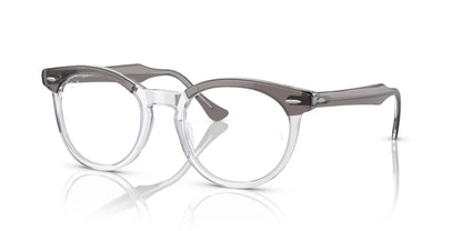 Ray-Ban EAGLEEYE RX5598 Eyeglasses Grey On Transparent